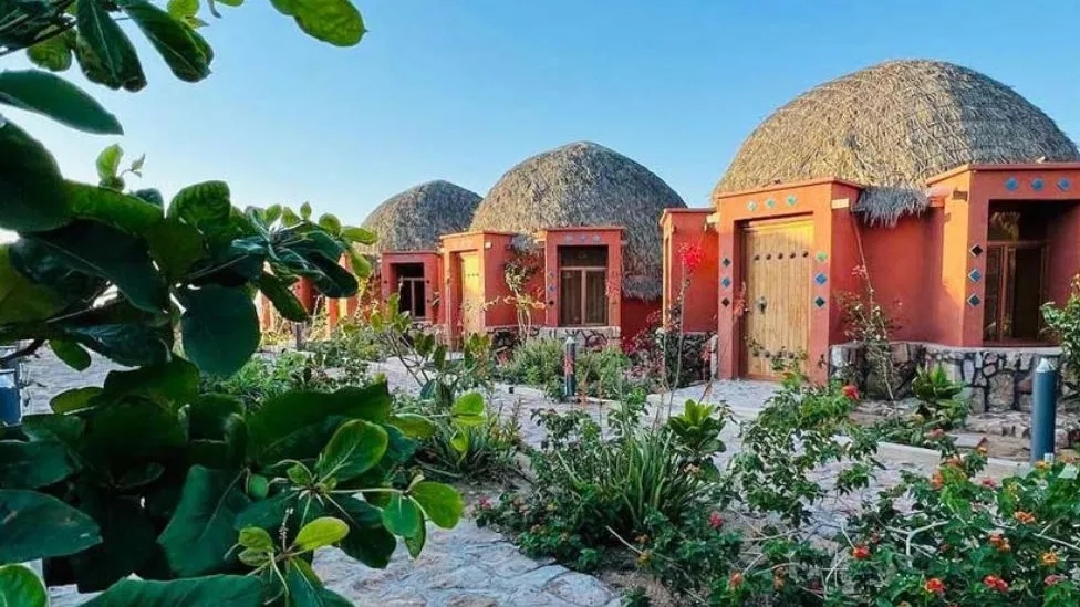 Types of ecotourism